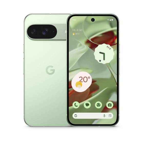 Google pixel 9 (Online Approved)